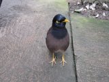 20100417_1235