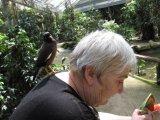 20100417_1238