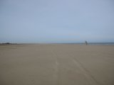 20100421_1307