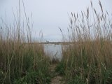 20100422_1313