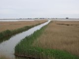 20100422_1314