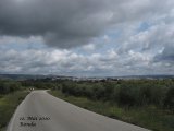 20100512_1562