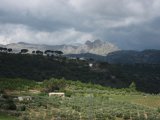 20100512_1567