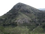 20100513_1578
