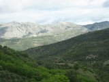 20100513_1580