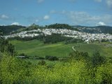 20100513_1588