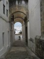 20100515_1615