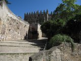 20100520_1691