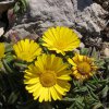 3122_AlgarveKuesteWest