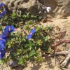 3142_AlgarveKuesteWest