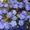 3156_AlgarveKuesteWest
